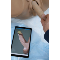 Тренажер-симулятор сексологический мужской