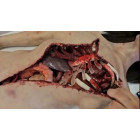 Фантом-манекен «вскрытие женщины» 