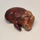 Фантом-манекен «вскрытие мужчины». (возможность заказа с разным дизайном) 