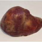 Фантом-манекен «вскрытие мужчины». (возможность заказа с разным дизайном) 