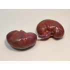 Фантом-манекен «вскрытие мужчины». (возможность заказа с разным дизайном) 