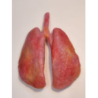 Фантом-манекен «вскрытие мужчины». (возможность заказа с разным дизайном) 