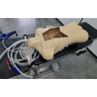 Муляж грудной клетки с имитацией срединной стернотомии с двумя силиконовыми трубками внутри, имитирующие аорту и полые вены с отверстиями для канюляции.